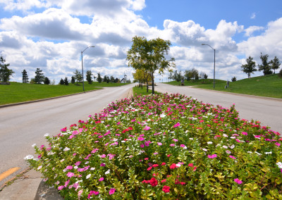 Pink and purple flowers near entryway of subdivision