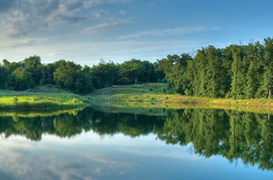 lake at woodland trails