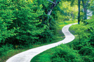 paved walkway and trail